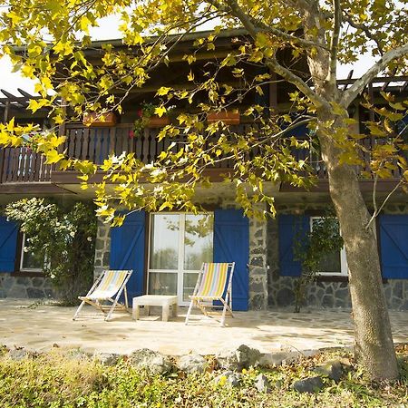 Art Provence House Villa Лозенец Екстериор снимка