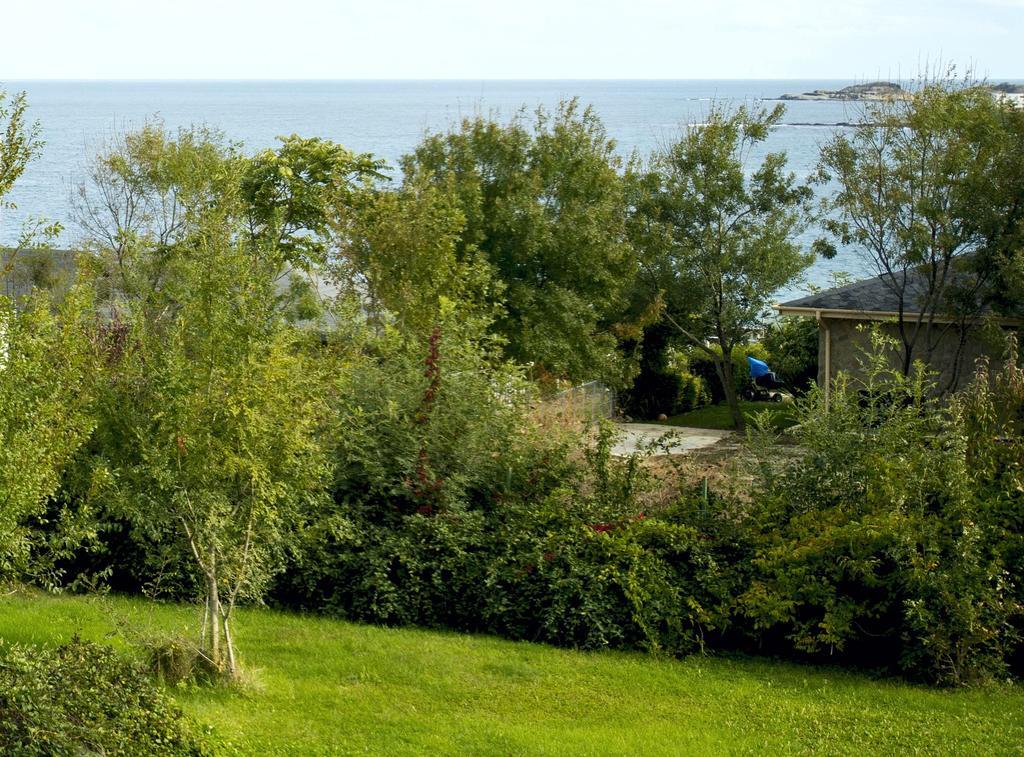 Art Provence House Villa Лозенец Екстериор снимка